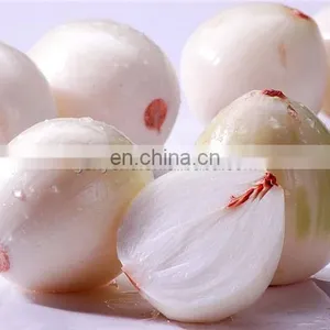 Large Capacity Onion Garlic Grading Machine Processing Line thumbnail-4