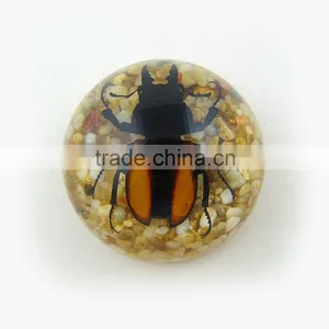 2016 New Style Business Particularly Paperweight With Real Insect Spide thumbnail-6