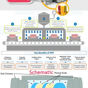 Automatic 57L --200-300KGS/H Hpp Carrot Juice Production Line Carrot Juice Hpp Juice Processing Equipments thumbnail-6