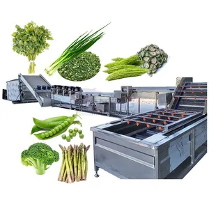 Onion Beetroot Carrot Ginger Garlic Cleaning Slicing and Drying Production Line Mesh Belt Dryer EPC thumbnail-1