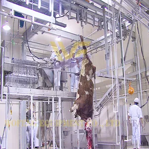 Turnkey 100 Cattle Per Shift Butcher Machine Abattoir Equipment Slaughterhouse for Cows and Lamb Meat Processing Machinery Plant thumbnail-2