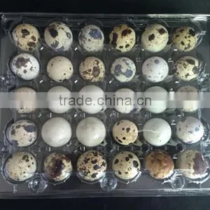 Factory Price 30 Holes Disposable Plastic Quail Egg Trays thumbnail-1