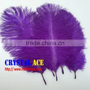 Wholesale Colourful Dyed Ostric Feather, Feather Ostric Plumes for Carnival Costumes thumbnail-4