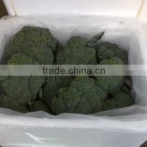 Broccoli thumbnail-2