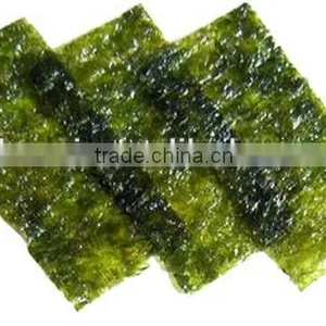 Organic Seaweed Healthy Seafood thumbnail-2