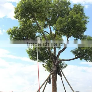 3m Long Iron Extension Pole thumbnail-1