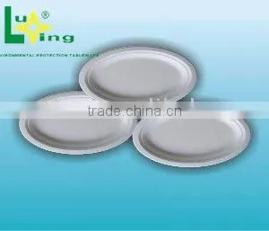 Small Oval Plate thumbnail-1