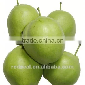 2012 China Fresh Su Pear thumbnail-1