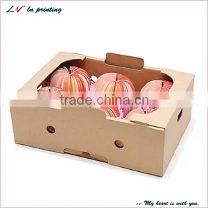 High Quality Fruit Packaging Boxes for Apple in Delhi Made in Shanghai thumbnail-1