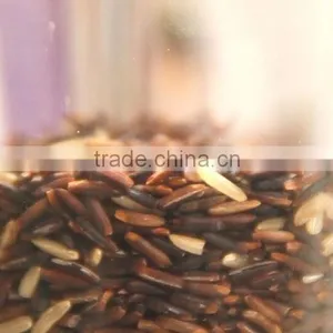 Riceberry Organic Rice thumbnail-3