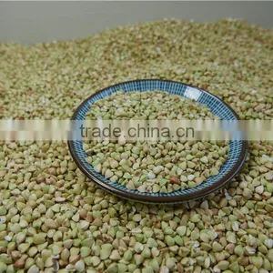 Good Manufacture of Raw Buckwheat Kernel Crop 2016 thumbnail-4