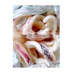 Frozen Squid Ring thumbnail-1