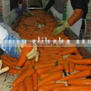 Carrot thumbnail-1