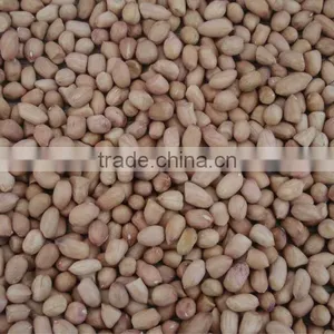 Peeled Peanuts thumbnail-1