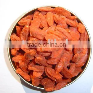 Barbary Wolfberry Fruit thumbnail-1