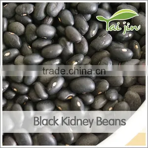 High Quality Frijol Negro With Good Price thumbnail-3