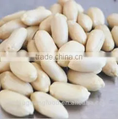 Peeled Peanuts/peanut Kernel thumbnail-1