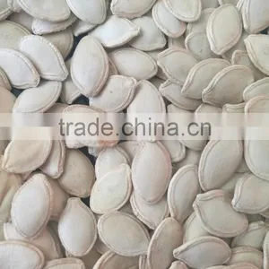 Snow White Pumpkin Seeds in Shell thumbnail-4