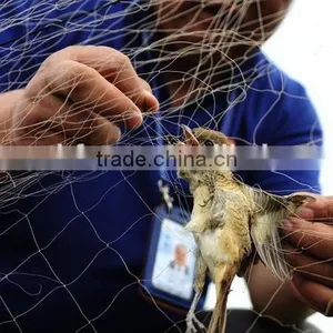 Nylon Bird Capture Net thumbnail-3