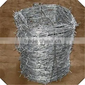 High Quality Antique Barbed Wire for Sale / 12#*14# Galvanized Barbed Wire thumbnail-4