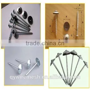 Common Wire Nail Iron Nail All Sizes Factory Price thumbnail-1