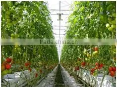 Vertical Greenhouse Growing System thumbnail-4