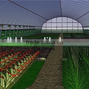 Polythene Film Greenhouse For Agriculture thumbnail-2