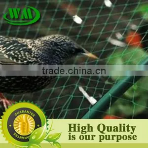 Bird Net thumbnail-1