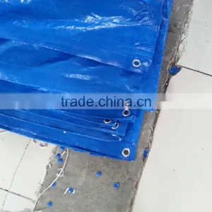 PE Tarpaulin Sheet 3x4M thumbnail-1