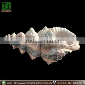 Large Marble Trumpet Shell, Garden Sea Shell Sculpture thumbnail-2
