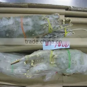 Lobster thumbnail-1