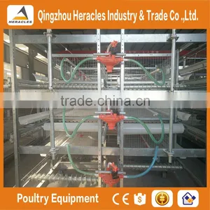 Shandong Trade Assurance Poultry Farming Equipment Automatic Chicken Layer Cage for Sale in Philippines thumbnail-5