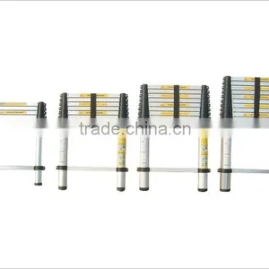 Item No.: CTB3102 Aluminum Ladder thumbnail-1