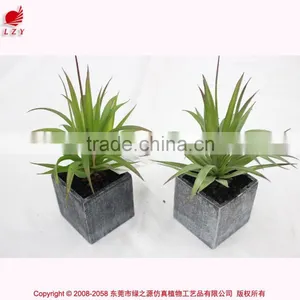 Wholesale Mini Artificial Bosai Cheap Artificial Mini Plant Potted Plant thumbnail-4