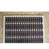 Solar Module 40w thumbnail-1