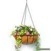 Sell Coco Planter thumbnail-1