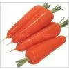 Carrot thumbnail-2