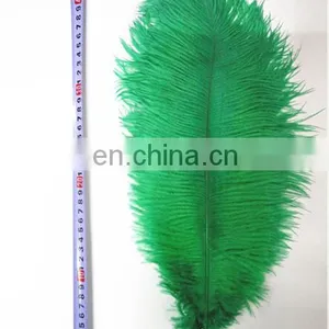 Ostrich Feather thumbnail-4