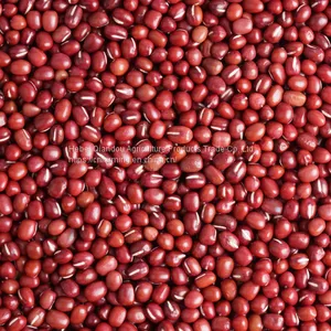 Red Beans thumbnail-5