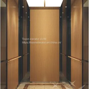 Toyon Villa Lift for Residential and Home Elevator thumbnail-2