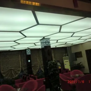 Soft Film Ceiling Applications For Stadium For Indoor Swimming Pools thumbnail-2