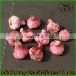 2015 NEW Fresh Garlic/China Black Garlic thumbnail-2