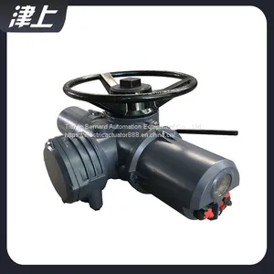 Intelligent Integrated Electric Actuator IQ20 Electronic Electric Actuator thumbnail-2