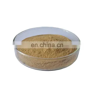 10YEAR Factory , Tea Polyphenol, EGCG ,green Tea Extract Powder thumbnail-3