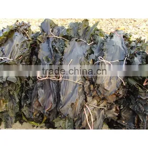 Big Sheet Fresh Water Washed Roasted Processing Dried Kelp Seaweed thumbnail-1