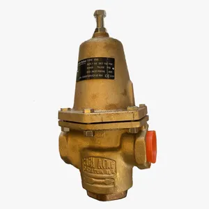 Cash Valve E55 Pressure Regulator: Precision Control for Oxygen, Liquid Nitrogen & Cryogenic Applications thumbnail-1