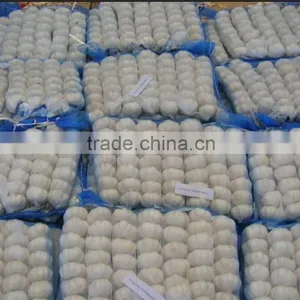 White Garlic,pure White Garlic thumbnail-2