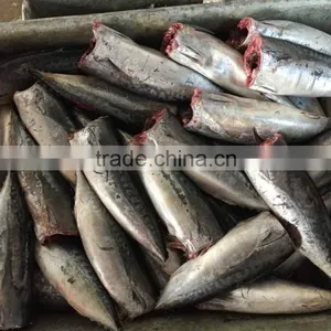 2015 Frozen Bonito HGT 150-300g/pc New Processing thumbnail-6
