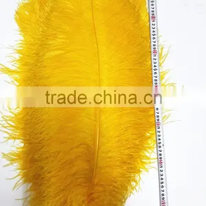 High Quality Real Natural Ostrich Feathers, Decorative Feathers Wholesale thumbnail-5