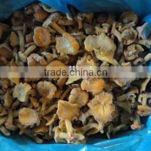 Frozen Style Chinese Chantarelle Mushroom thumbnail-2